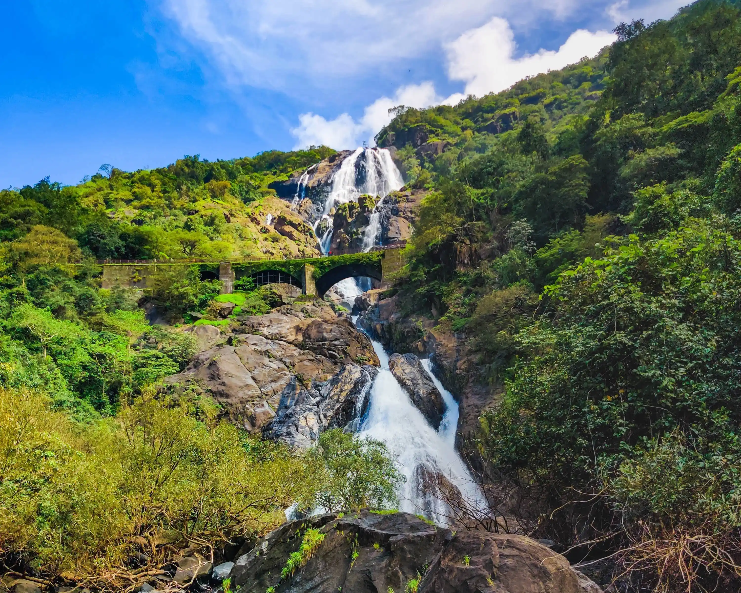 Dudhsagar falls cascading down basalt in four tiers