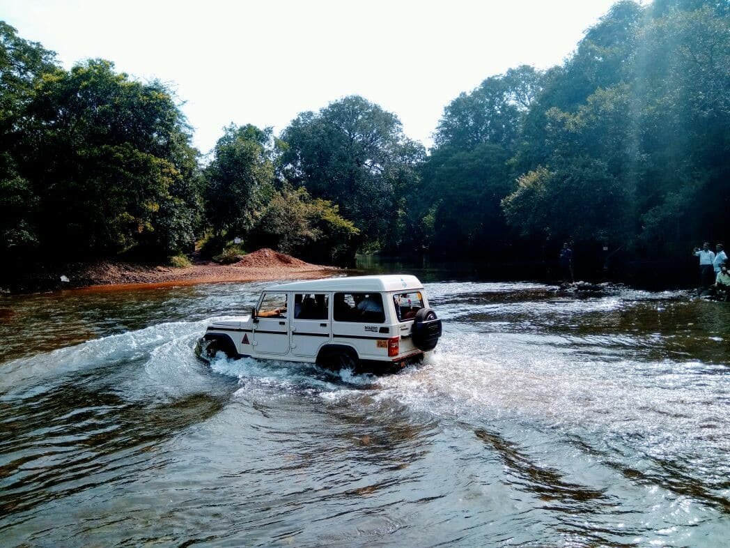 4x4 jeep on the forest safari route